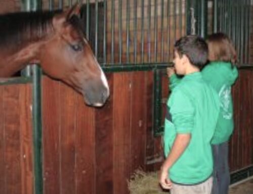 Torna Rionilandia: il 5 maggio un pomeriggio per le famiglie al Centro Civico Rioni